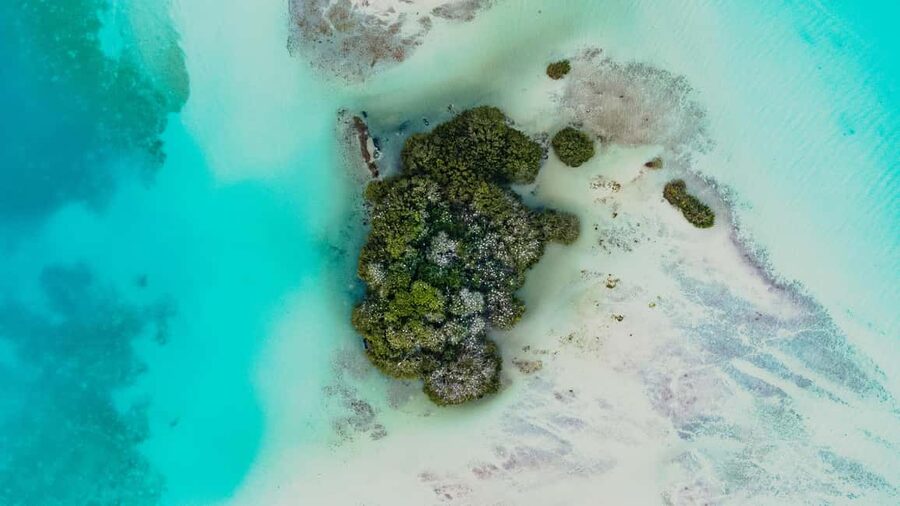 Bacalar Lagoon Sailing Tour with Open Bar and Mexican Lunch - Food, fruit, and the open bar