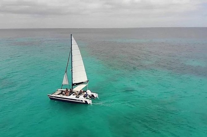 Barbados Catamaran Snorkel Cruise with Lunch and Open Bar - Carlisle Bay brings turtles, wrecks, and reef fish