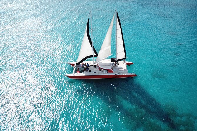 Barbados Catamaran Turtle and Shipwreck Snorkeling Cruise - The shipwreck stop and its schools of fish
