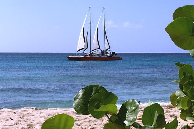 Barbados Catamaran Turtle and Shipwreck Snorkeling Cruise - Comfort, group size, and what to bring