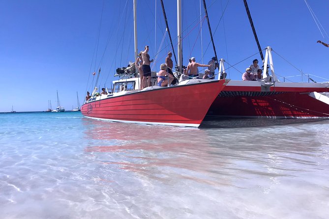 Barbados Catamaran Turtle and Shipwreck Snorkeling Cruise - My take: book it if you want a full day on the water
