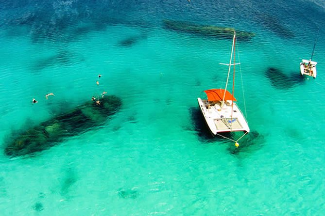 Barbados Catamaran Turtle Snorkel with Lunch and Open Bar - Key points before you book