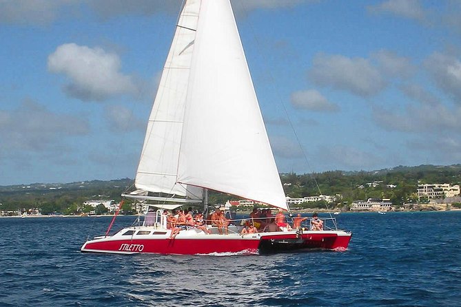 Barbados Catamaran Turtle Snorkel with Lunch and Open Bar - Why this small catamaran feels different