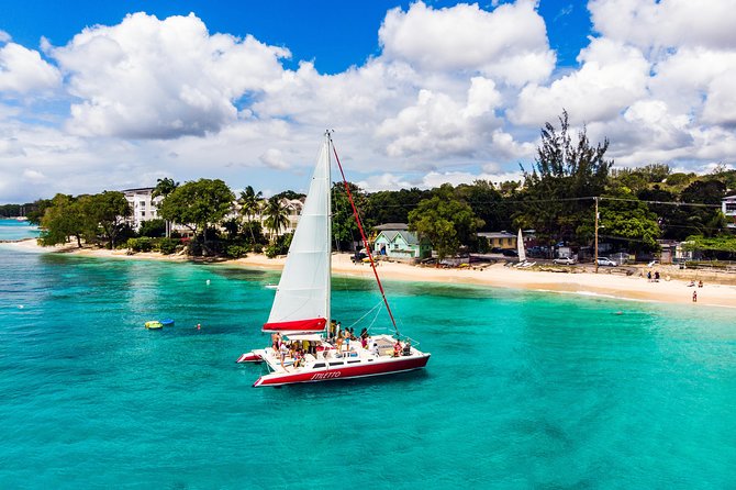 Barbados Catamaran Turtle Snorkel with Lunch and Open Bar - The rhythm of a five-hour outing