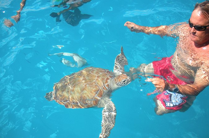Barbados Catamaran Turtle Snorkel with Lunch and Open Bar - What the price includes at $110