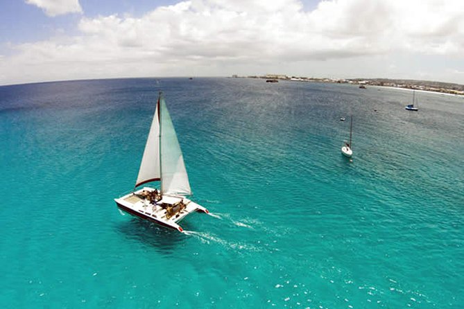 Barbados Catamaran Turtle Snorkel with Lunch and Open Bar - My recommendation