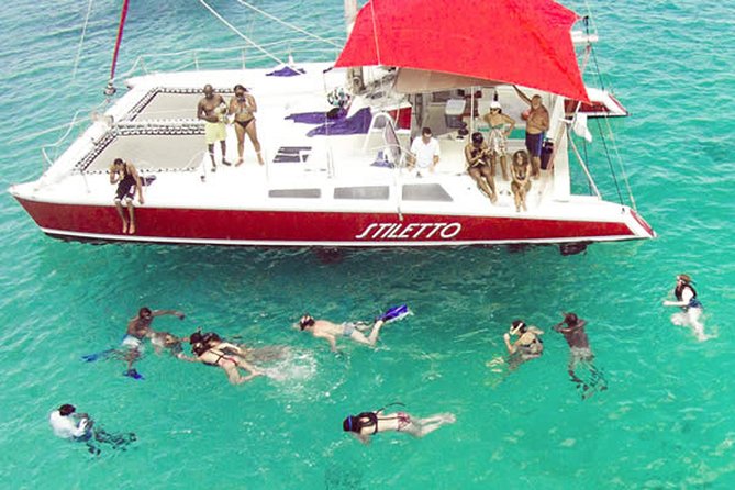 Barbados Catamaran Turtle Snorkel with Lunch and Open Bar - Carlisle Bay and the turtle search