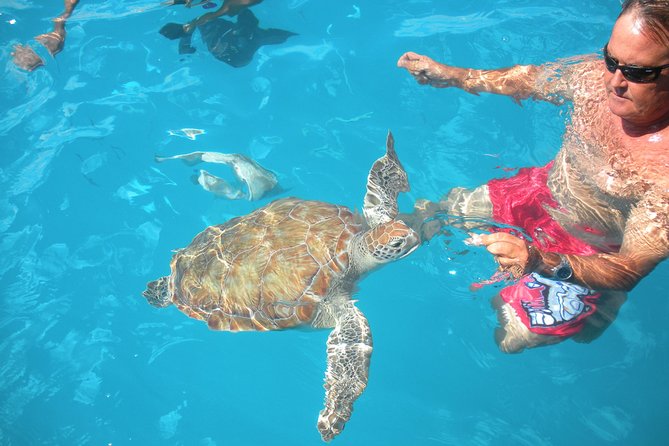 Barbados Catamaran Turtle Snorkel with Open Bar - Shipwrecks, fish, and the second snorkel