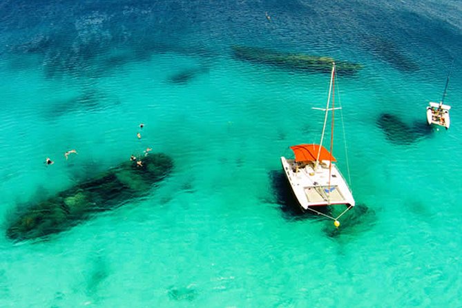 Barbados Catamaran Turtle Snorkel with Open Bar - Timing, pickup, and what to pack