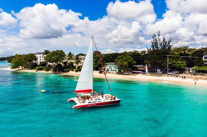 Barbados Catamaran Turtle Snorkel with Open Bar - Who will enjoy this catamaran trip most