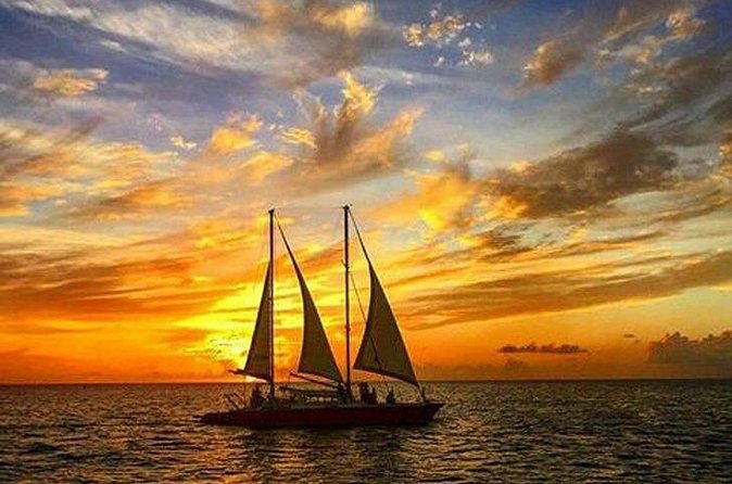 Barbados Sunset and Snorkeling Catamaran Cruise - Who will enjoy this cruise most