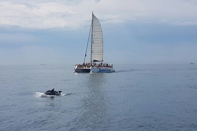 Barcelona Catamaran Party Tour For Young People - Music, dancing, and the young crowd