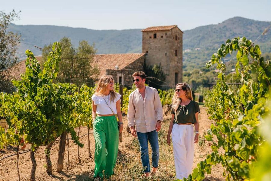Barcelona: Sailing Cruise & Vineyard Tour with Wine Tasting - Returning to Barcelona by minivan or sailboat