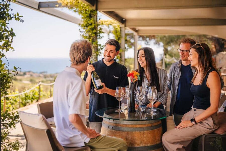 Barcelona: Sailing Cruise & Vineyard Tour with Wine Tasting - Who will enjoy this half-day outing?