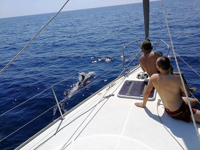 Barcelona: Sailing Trip with Drinks and Snacks - The swim stop and Mediterranean water