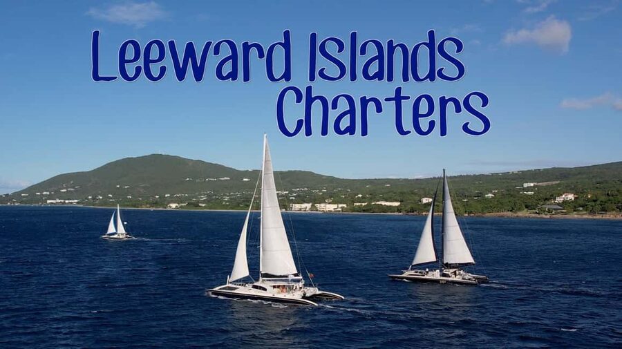 Basseterre: St Kitts 4-hour Catamaran Snorkel Cruise & Lunch - The Snorkeling Cove and Its Reef Life