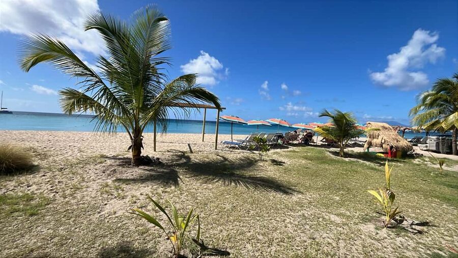 Basseterre: St. Kitts and Nevis Catamaran Tour with Lunch - Returning with music, drinks, and sea views
