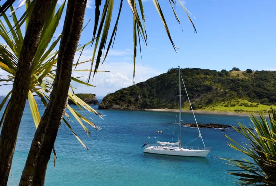 Bay of Islands: Awesome Day Sailing Tour with Island Stop - At a glance