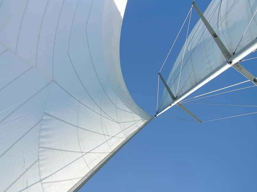 Bay of Islands: Awesome Day Sailing Tour with Island Stop - Fresh snacks and an easygoing crew