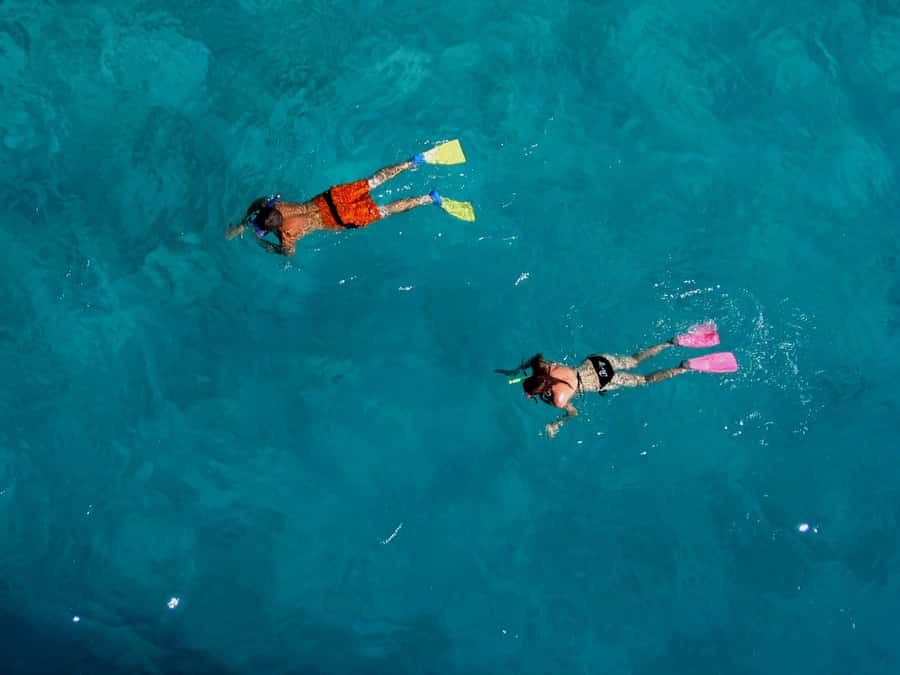 Bay of Islands: Awesome Day Sailing Tour with Island Stop - What the $104 price really covers