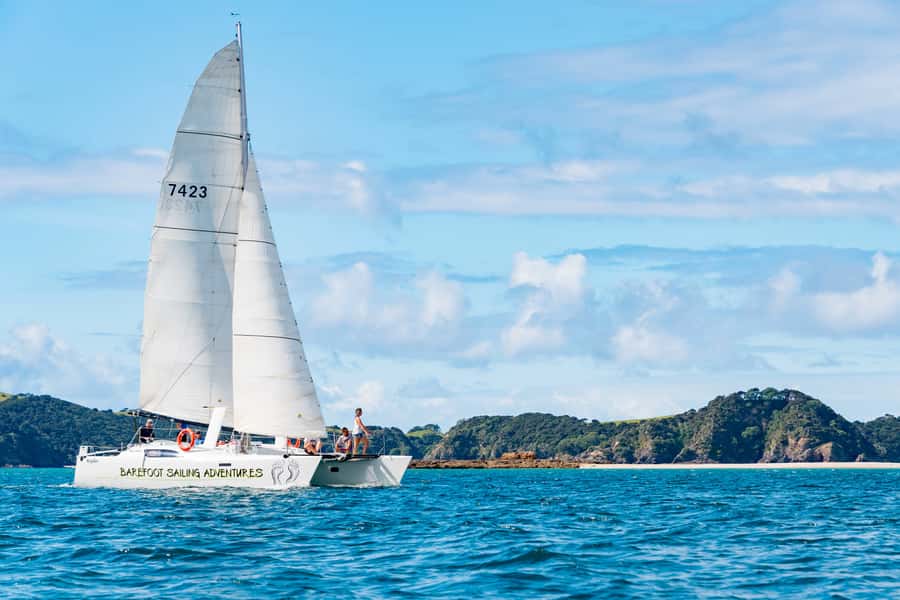 Bay of Islands: Catamaran Sail, Wildlife Island & Lunch - Why this sailing day works so well