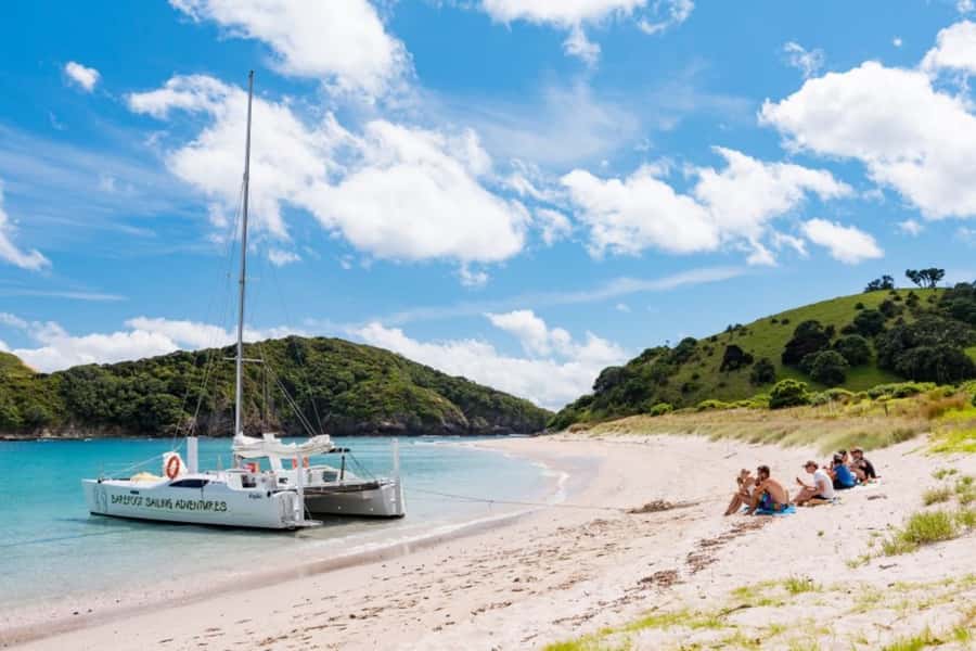 Bay of Islands: Catamaran Sail, Wildlife Island & Lunch - Should you book the Barefoot Sailing Adventures day?
