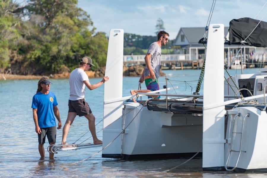 Bay of Islands: Catamaran Sail, Wildlife Island & Lunch - The 6-hour timing, from Paihia and back