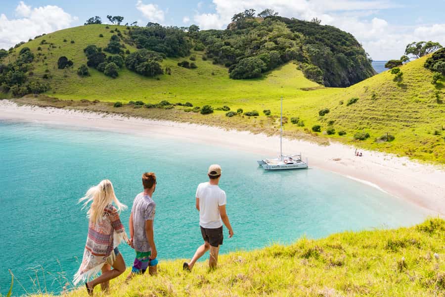 Bay of Islands: Catamaran Sail, Wildlife Island & Lunch - Wildlife and conservation across the bay