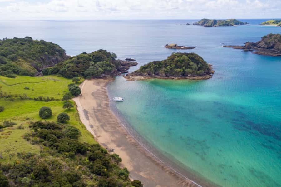 Bay of Islands: Catamaran Sail, Wildlife Island & Lunch - What lunch and morning tea add to the day