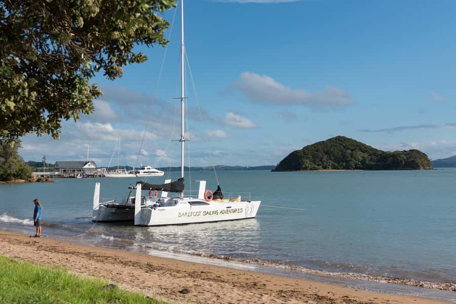 Bay of Islands: Catamaran Sail, Wildlife Island & Lunch - Comfortable sailing, with room to choose your pace