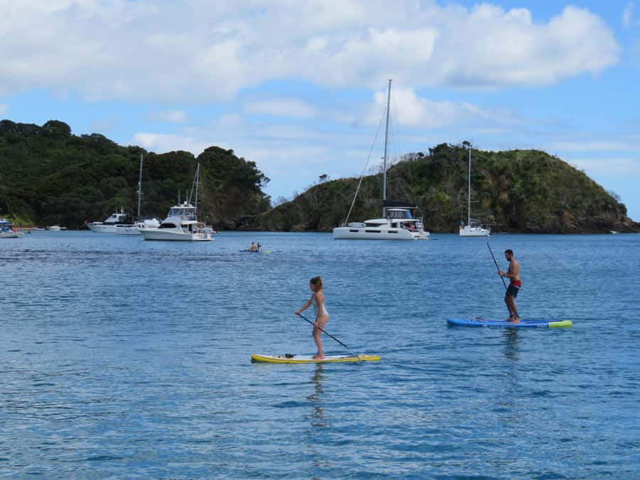 Bay of Islands: Day Sailing Cruise with Island Stop & Lunch - Should you book the Bayscapes cruise?