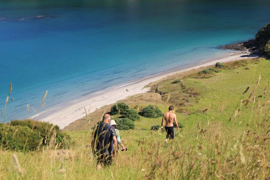Bay of Islands: Day Sailing Cruise with Island Stop & Lunch - Sailing back to Paihia in the afternoon
