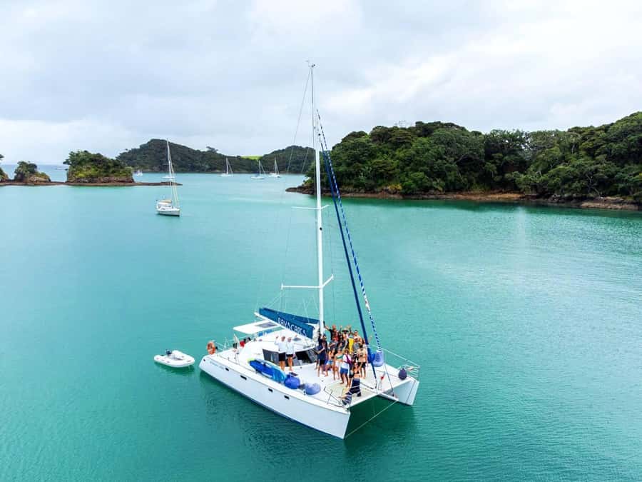 Bay of Islands: Day Sailing Cruise with Island Stop & Lunch - How the $128 price compares with the experience
