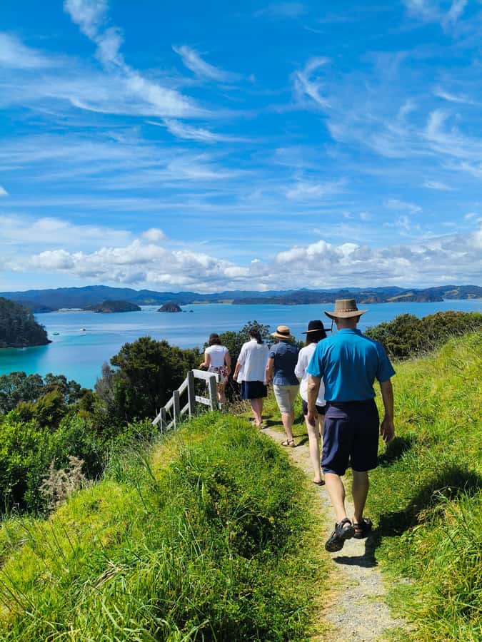 Bay of Islands: Day Sailing Cruise with Island Stop & Lunch - The first two hours, sailing into the Bay of Islands
