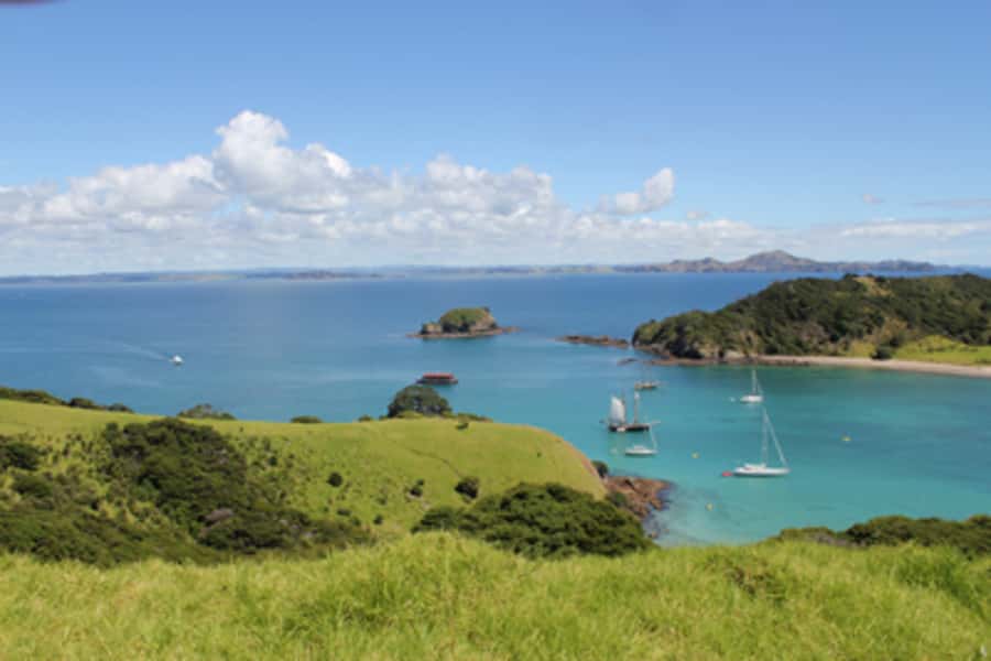 Bay of Islands: Full-Day Tall Ship Sailing Excursion - Hoisting sails, steering, and climbing the rigging