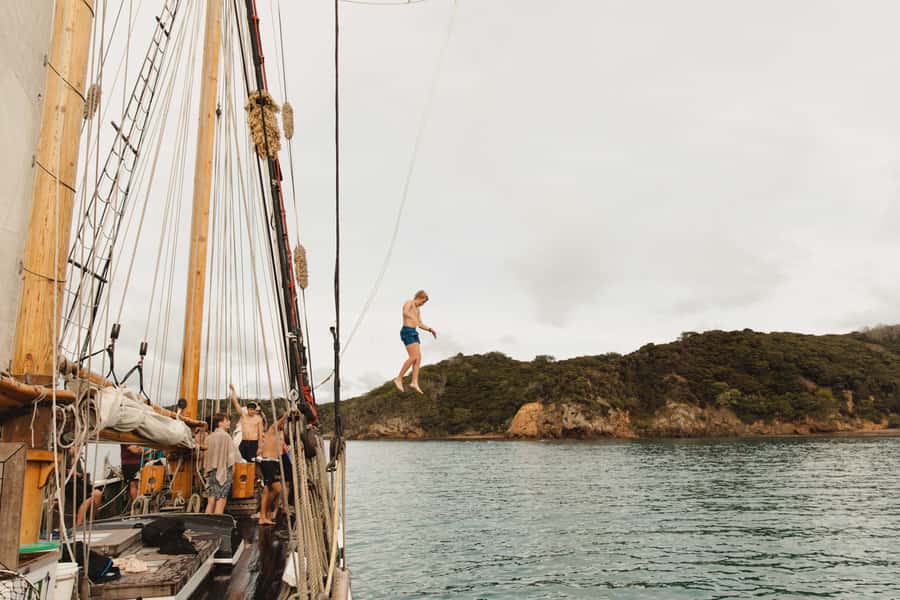 Bay of Islands: Full-Day Tall Ship Sailing Excursion - What to bring and who will enjoy it
