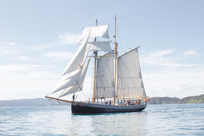 Bay of Islands Tall Ship Sailing on R. Tucker Thompson Including BBQ Lunch - Getting to Russell Wharf from Paihia