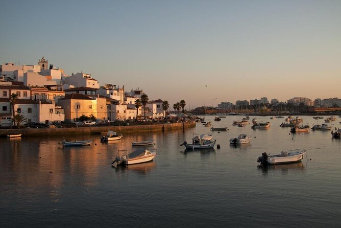Benagil Cave Boat Tour - Catamarans or Rib - 2 H From Portimão - Catamaran or RIB: which boat suits you?
