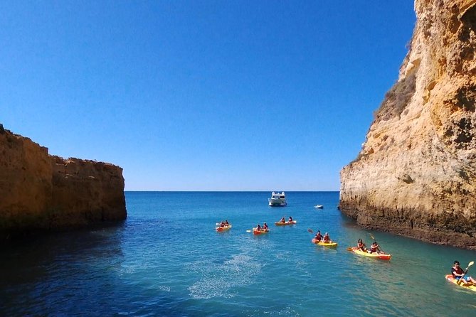 Benagil Kayak Tour On Board a Fantastic Catamaran - Swimming and the Pace After the Caves