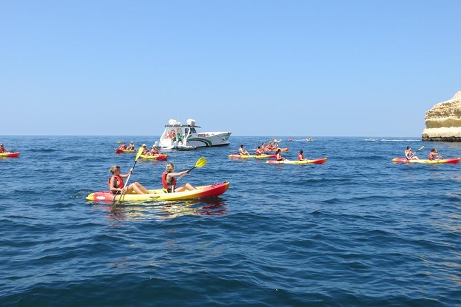 Benagil Kayak Tour On Board a Fantastic Catamaran - Price and Overall Value at $46.34