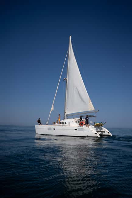 Benalmádena: Sailing & Dolphin Watching with Snacks/Drinks - Who Will Get the Most From This Trip?