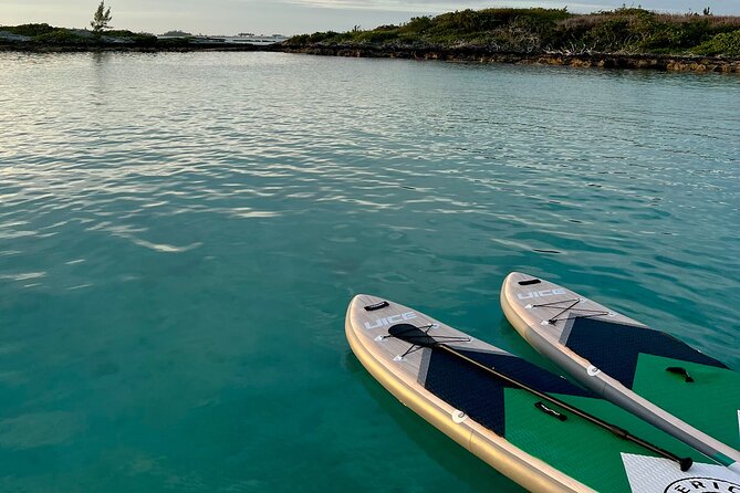 Bermuda Private Catamaran:Snorkeling, Shipwrecks & Cliff Jumping - Paddleboarding and cliff jumping
