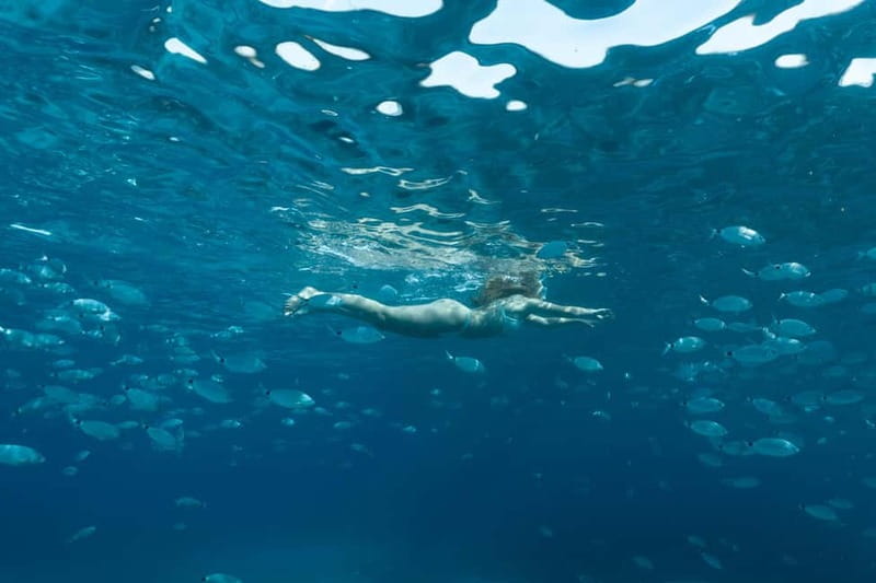 Bonifacio: Catamaran trip with snorkeling at the Lavezzi Islands - Should you book the Lavezzi catamaran trip?