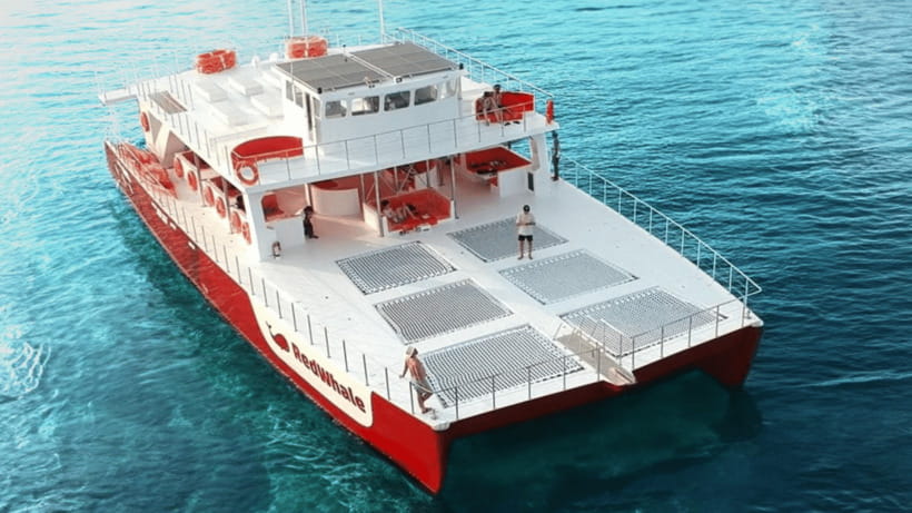 Boracay Sunset Cruise with RedWhale Party Yacht - Coral Garden: your first hour in the water