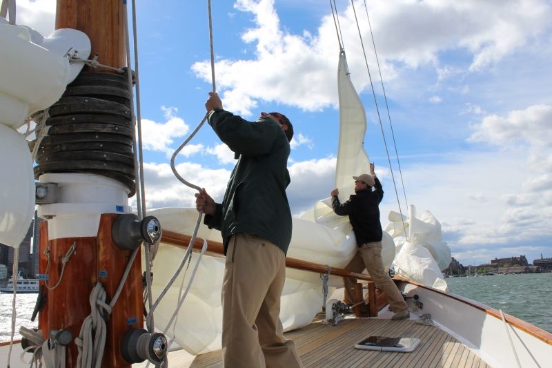 Boston: Downtown Harbor Sailing Cruise - Drinks, picnics, and the practical details