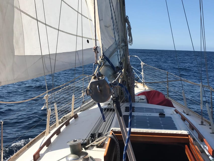 Bretagne Brest : Private Sailing charter Mer d’Iroise - Fortresses, lighthouses, and the Breton coast