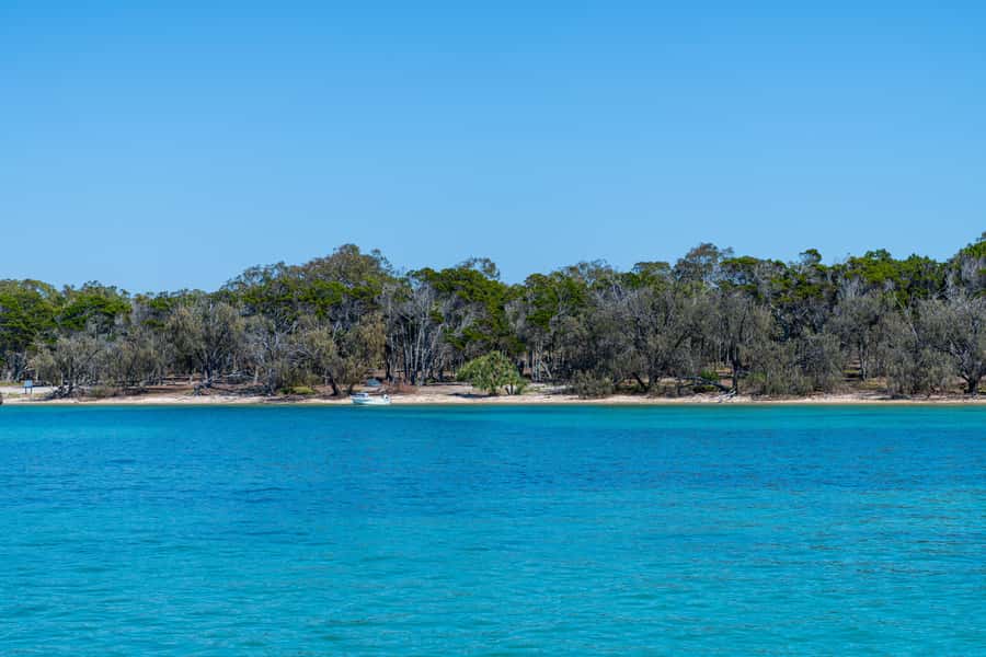 Brisbane: Half-Day Moreton Bay Sailing Cruise with Antipasto - Practical preparation for Raby Bay