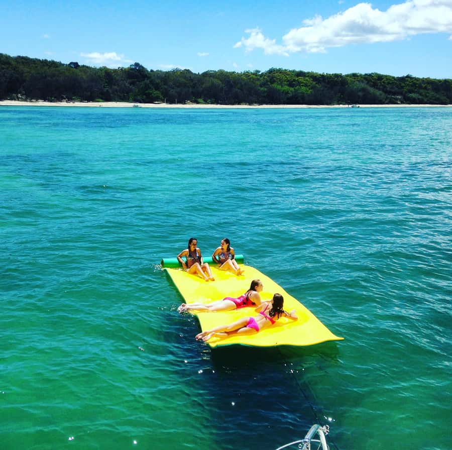 Brisbane: Half-Day Moreton Bay Sailing Cruise with Antipasto - Moreton Bay wildlife from the water