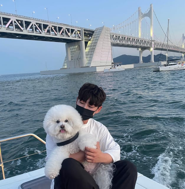 Busan: Group Sightseeing Yacht Cruise with Snacks and Drinks - What the yacht feels like onboard