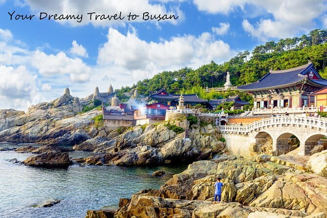 Busan Night Food Market with Night View points - Should you book it?